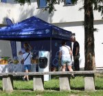 festynkosztowy5