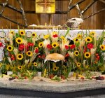 dozynkiparafialnet40